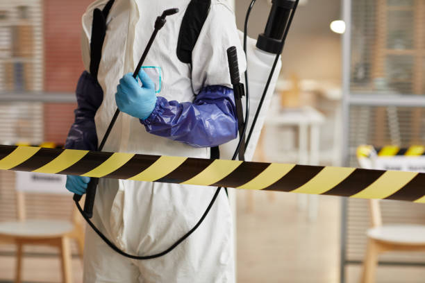 Professional Sewage Cleanup technician working in Millington, MI